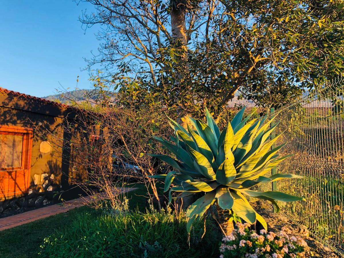Casa Rural Dona Herminda La Matanza De Acentejo Εξωτερικό φωτογραφία