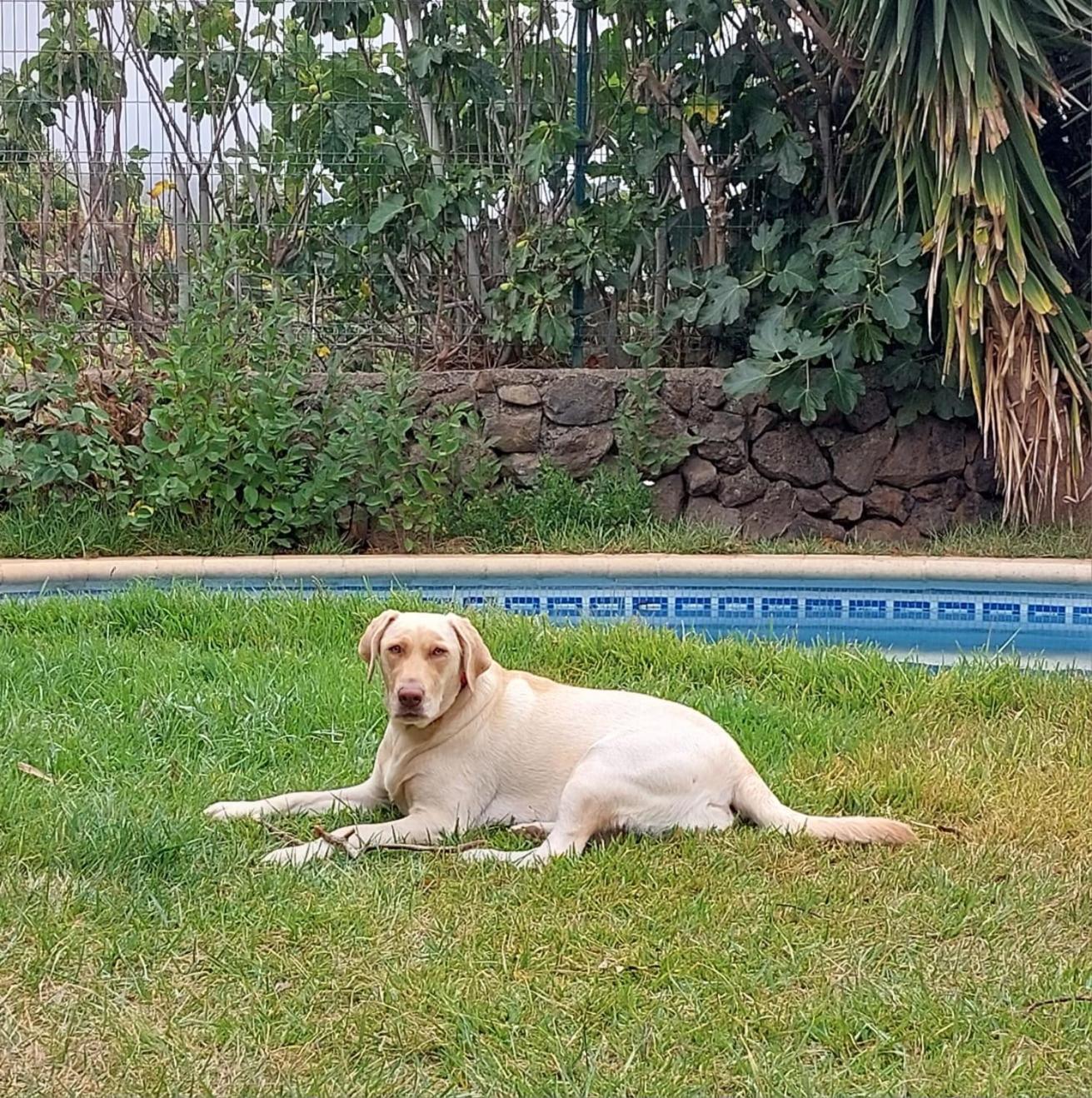 Casa Rural Dona Herminda La Matanza De Acentejo Εξωτερικό φωτογραφία