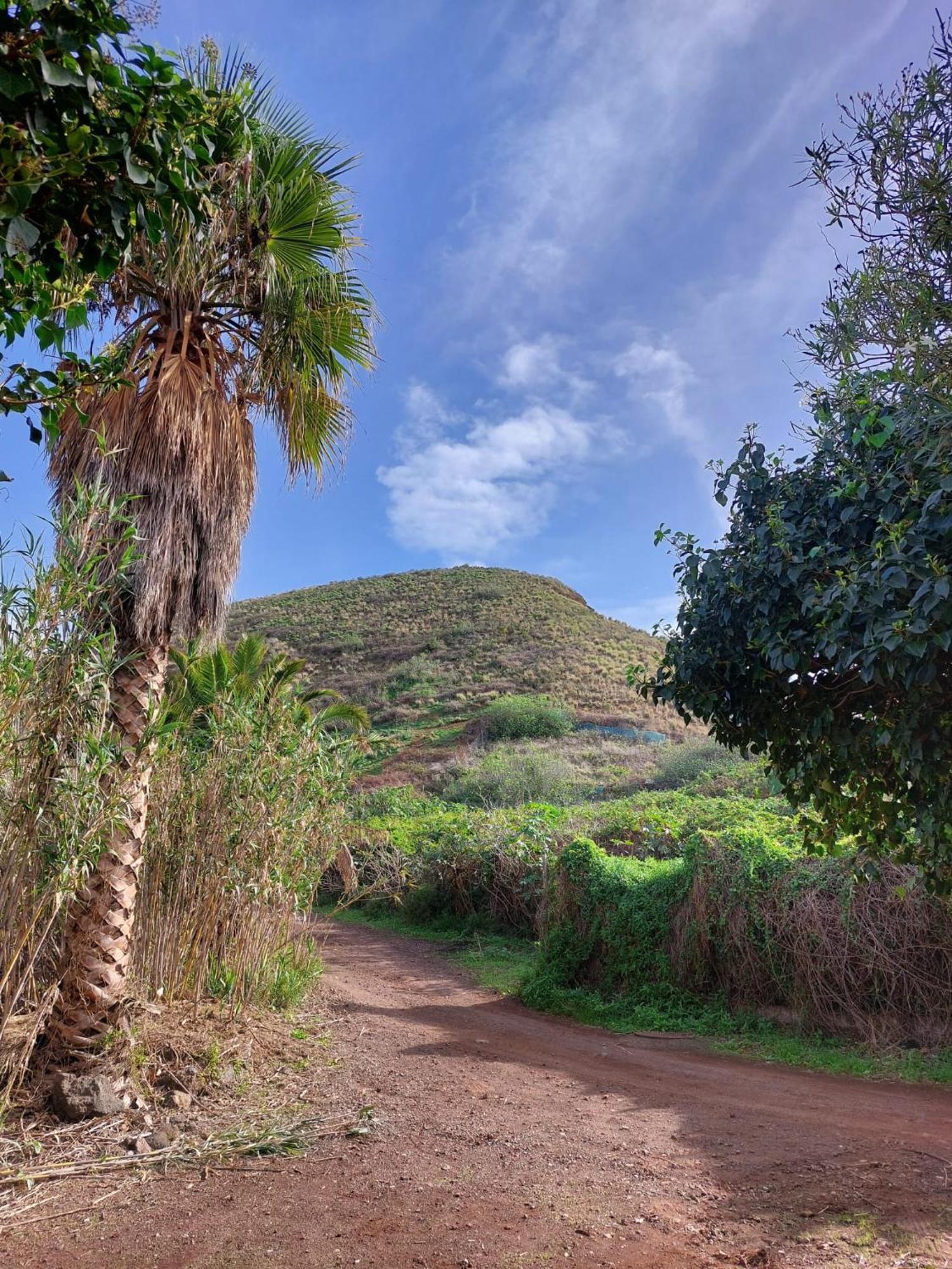 Casa Rural Dona Herminda La Matanza De Acentejo Εξωτερικό φωτογραφία