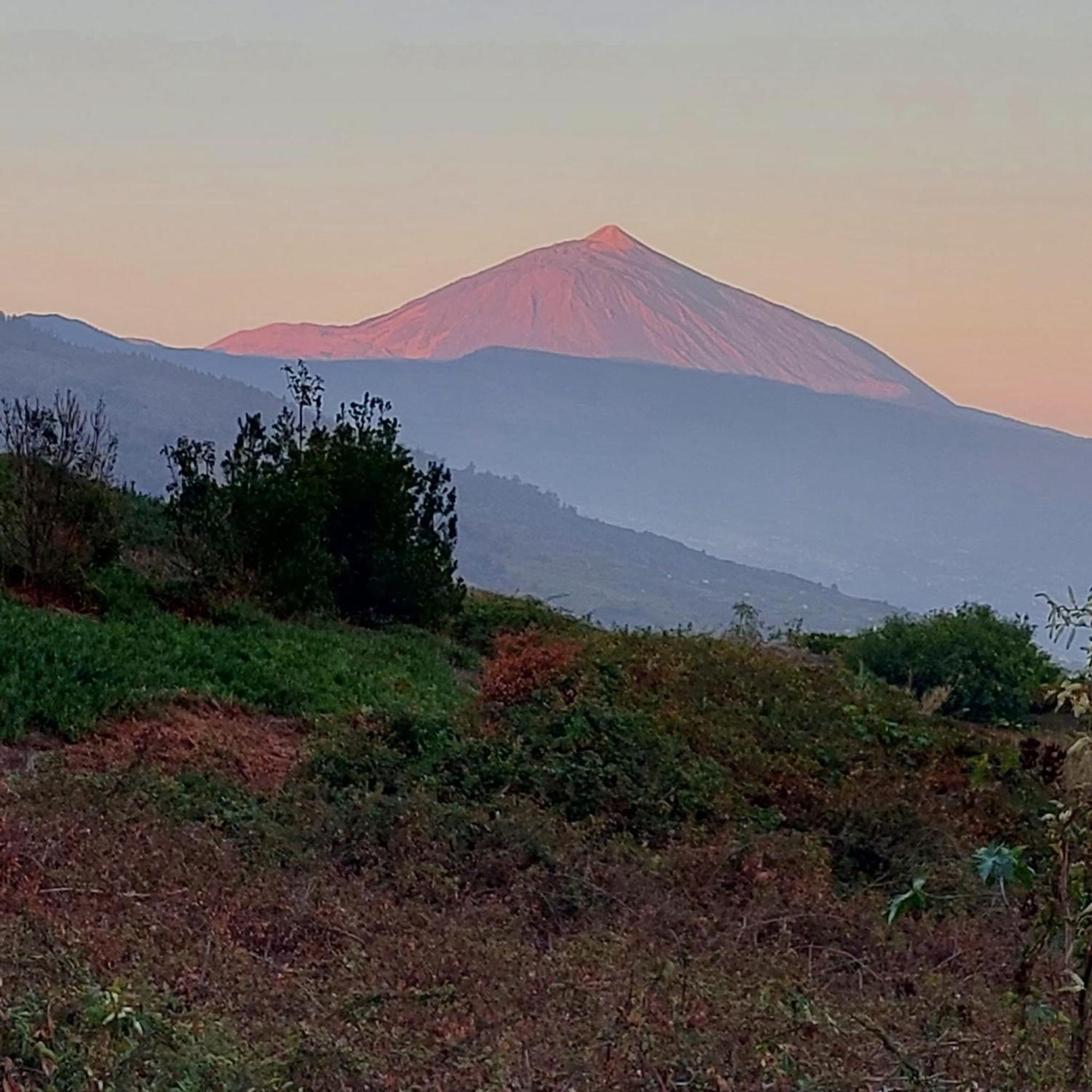 Casa Rural Dona Herminda La Matanza De Acentejo Εξωτερικό φωτογραφία