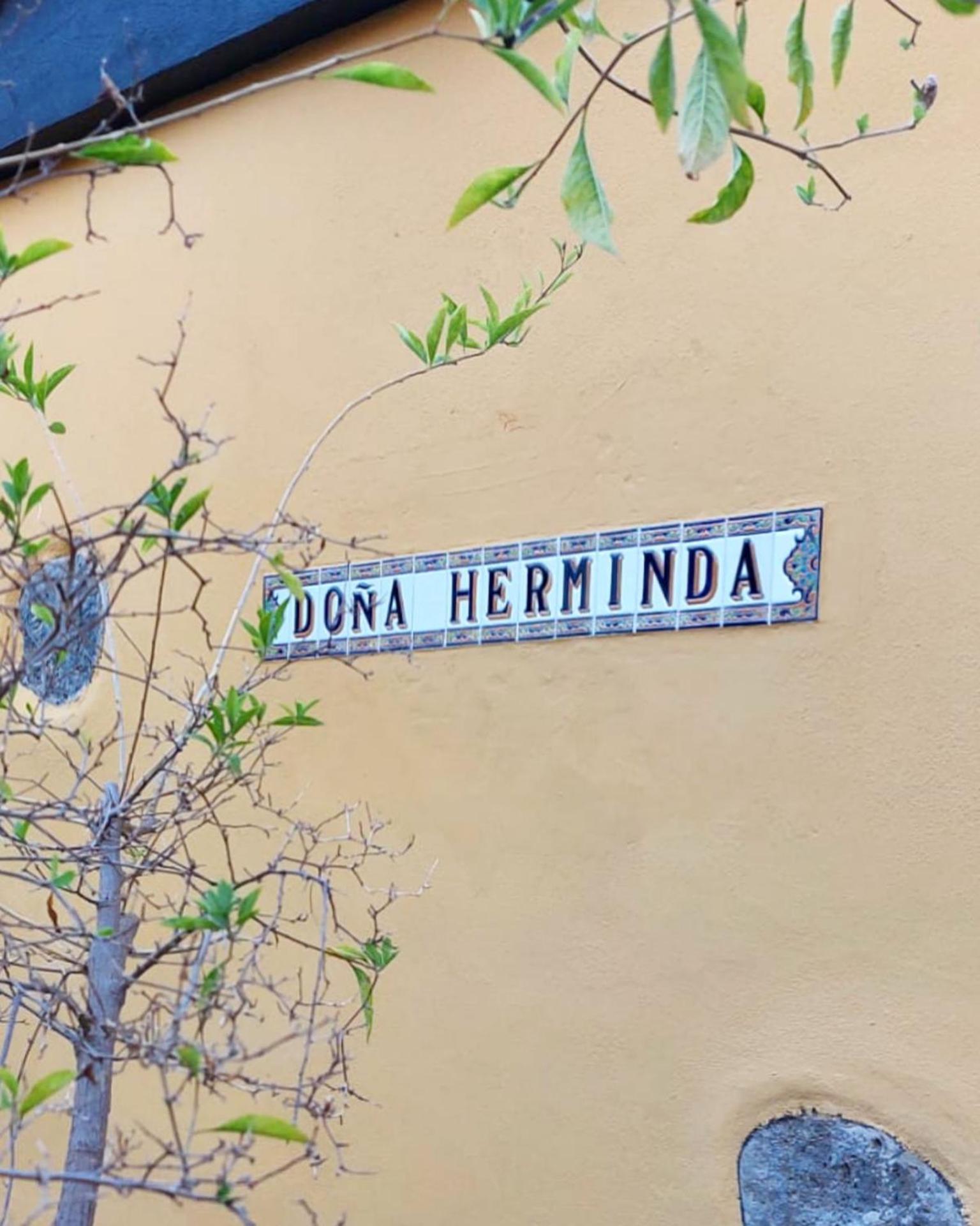 Casa Rural Dona Herminda La Matanza De Acentejo Εξωτερικό φωτογραφία